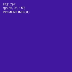 #42179F - Pigment Indigo Color Image