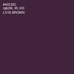 #42233C - Livid Brown Color Image