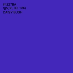 #4227BA - Daisy Bush Color Image