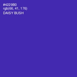 #4229B0 - Daisy Bush Color Image