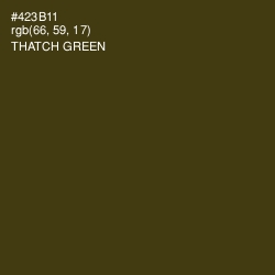 #423B11 - Thatch Green Color Image