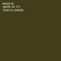 #423E1B - Thatch Green Color Image