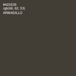 #423E35 - Armadillo Color Image