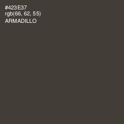 #423E37 - Armadillo Color Image