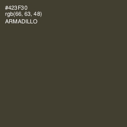 #423F30 - Armadillo Color Image