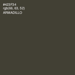 #423F34 - Armadillo Color Image