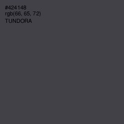 #424148 - Tundora Color Image