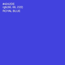 #4242DE - Royal Blue Color Image