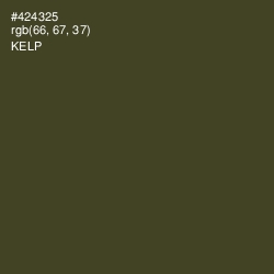 #424325 - Kelp Color Image