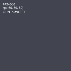 #424550 - Gun Powder Color Image