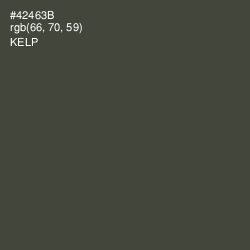 #42463B - Kelp Color Image