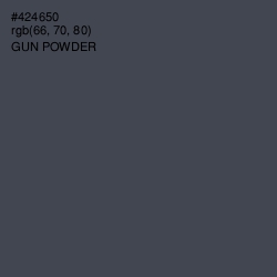 #424650 - Gun Powder Color Image