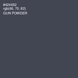 #424652 - Gun Powder Color Image