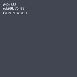 #424653 - Gun Powder Color Image