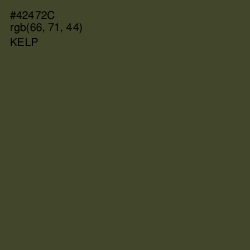 #42472C - Kelp Color Image