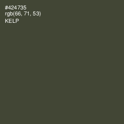 #424735 - Kelp Color Image