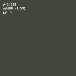 #42473B - Kelp Color Image