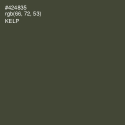 #424835 - Kelp Color Image