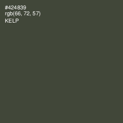 #424839 - Kelp Color Image