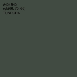 #424B42 - Tundora Color Image