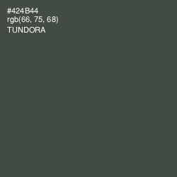 #424B44 - Tundora Color Image