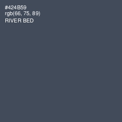 #424B59 - River Bed Color Image