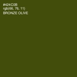 #424C0B - Bronze Olive Color Image