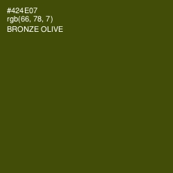 #424E07 - Bronze Olive Color Image