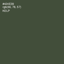 #424E39 - Kelp Color Image