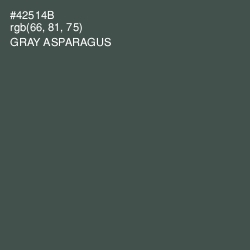 #42514B - Gray Asparagus Color Image