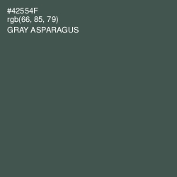 #42554F - Gray Asparagus Color Image