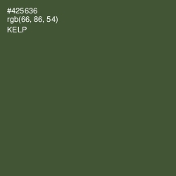 #425636 - Kelp Color Image