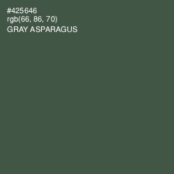 #425646 - Gray Asparagus Color Image