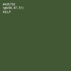 #425733 - Kelp Color Image