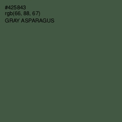 #425843 - Gray Asparagus Color Image