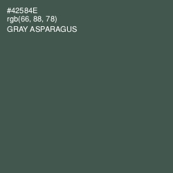 #42584E - Gray Asparagus Color Image