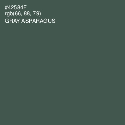 #42584F - Gray Asparagus Color Image