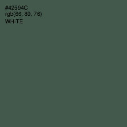 #42594C - Gray Asparagus Color Image