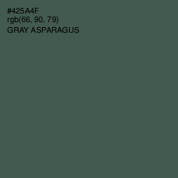 #425A4F - Gray Asparagus Color Image