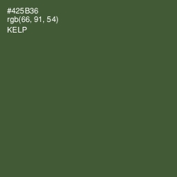 #425B36 - Kelp Color Image
