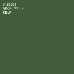 #425D39 - Kelp Color Image