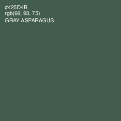 #425D4B - Gray Asparagus Color Image