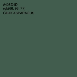 #425D4D - Gray Asparagus Color Image