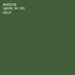 #425E38 - Kelp Color Image