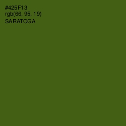 #425F13 - Saratoga Color Image