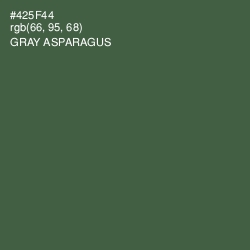 #425F44 - Gray Asparagus Color Image