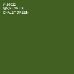 #426022 - Chalet Green Color Image