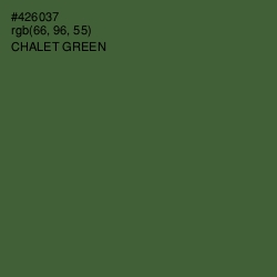 #426037 - Chalet Green Color Image