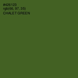 #426123 - Chalet Green Color Image