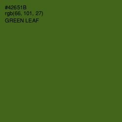 #42651B - Green Leaf Color Image